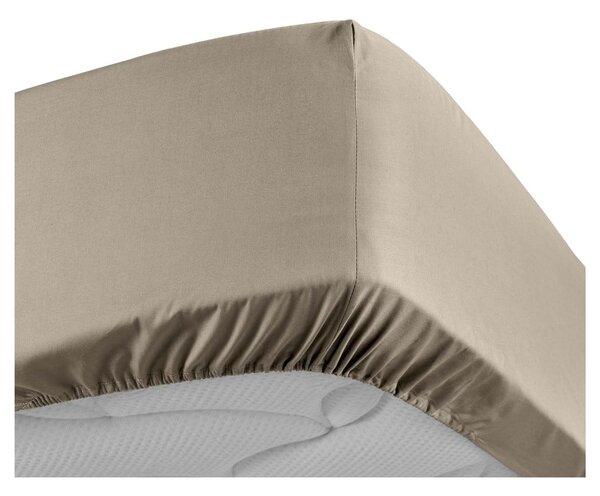 Lenzuolo in percalle di cotone elasticizzato marrone chiaro 180x200 cm Percaline - douceur d'intérieur