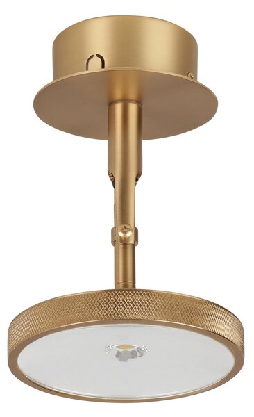 Plafoniera UMAGE, Asteria Spot, dimmerabile, Dorato / Ottone, Soggiorno, Metallo, Design