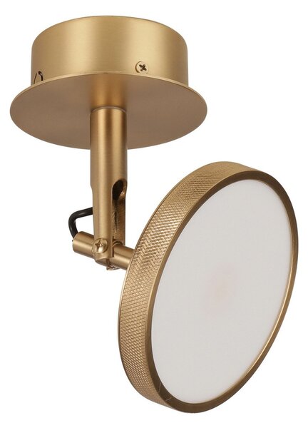 Plafoniera UMAGE, Asteria Spot, dimmerabile, Dorato / Ottone, Soggiorno, Metallo, Design