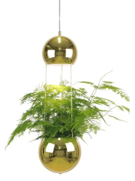 Lampada a sospensione Globen Lighting, Dorato / Ottone, Soggiorno, Metallo