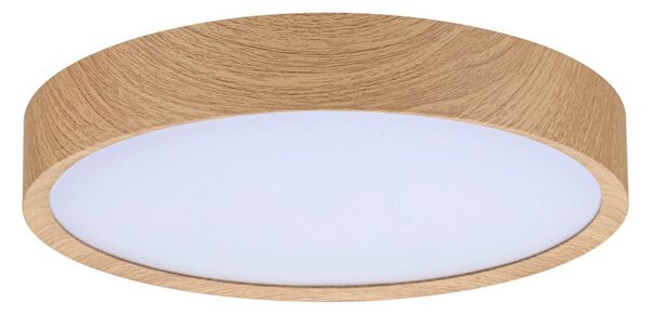 Plafoniera Paulmann, Tega, Legno, Bagno, Plastica, Moderno