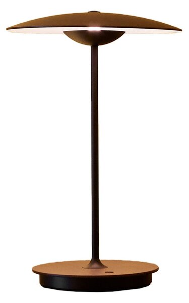 Lampade da tavolo MARSET, Ginger, dimmerabile, Legno, Soggiorno, Legno, Design