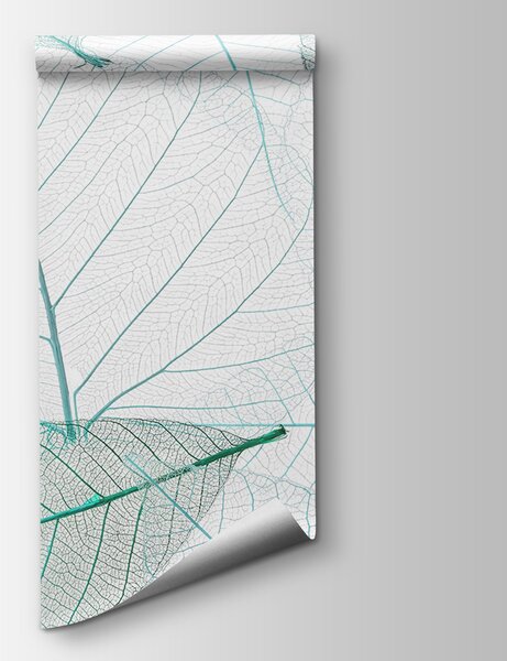 Carta da parati Un gruppo di foglie con venature, Carta da parati acquerello sul muro, Carta da parati popolare, u24439v3 - Tapeko.it