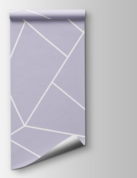 Carta da parati Uno sfondo viola con linee bianche, Carta da parati lastrazione, Carta da parati popolare, w00827v3 - Tapeko.it