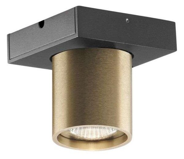 Plafoniera LIGHT-POINT, dimmerabile, Dorato / Ottone, Soggiorno, Alluminio