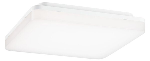 Plafoniera Paulmann, Cela, Bianco, Corridoio, Plastica, Moderno