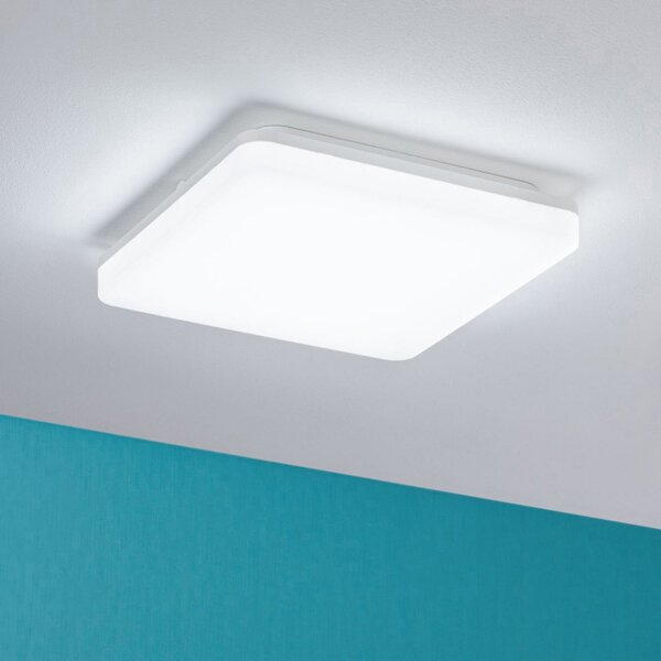Plafoniera Paulmann, Cela, Bianco, Corridoio, Plastica, Moderno