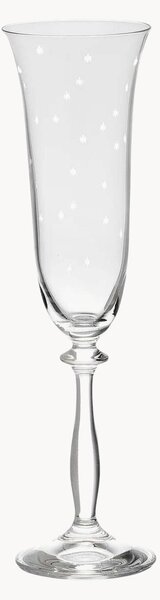 Flute da champagne Starry Eve