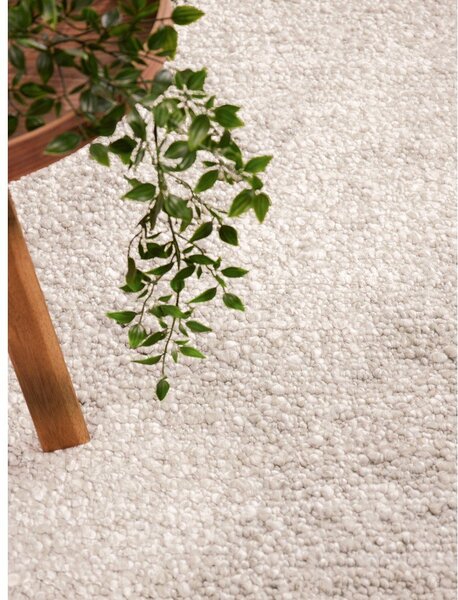 Tappeto avorio tessuto a mano 160x230 cm Notting Hill Portobello – Ted Baker