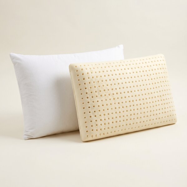 Coppia Cuscini Lattice – Freschi e Antiacaro, Cotone Sfoderabile | NOTTURNO H11