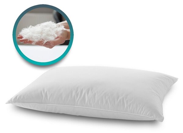 Coppia Cuscini Piuma d'Oca – Soffici, Termoregolatori, Cotone 15 cm