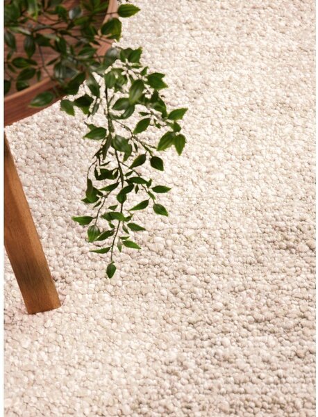 Tappeto color crema tessuto a mano 120x170 cm Notting Hill Portobello – Ted Baker