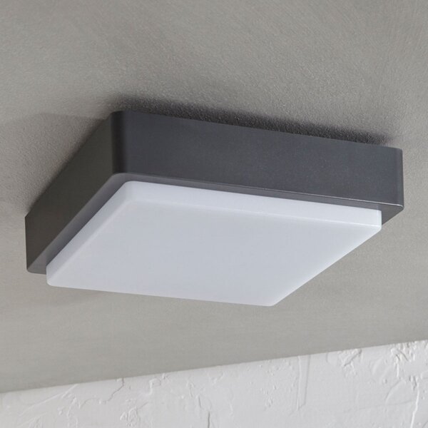 Lampade da esterno Lindby, Nermin, Nero, Plastica, Moderno