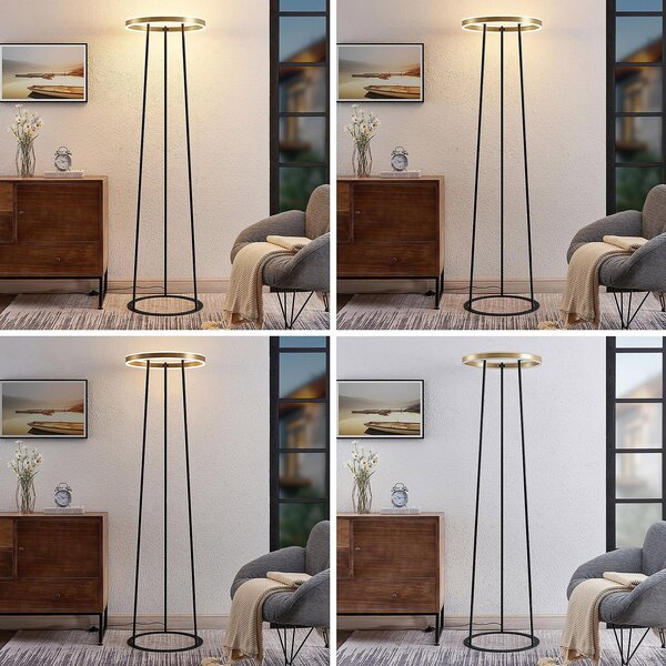Lampada da terra Lucande, Seppe, dimmerabile, Nero, Soggiorno, Metallo, Design