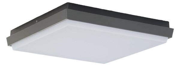 Lampade da esterno Lucande, Amra, Nero, Terrazza, Plastica, Moderno