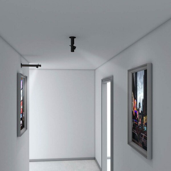 Plafoniera Martinelli Luce, Calabrone Spot, Nero, Soggiorno, Metallo, Design