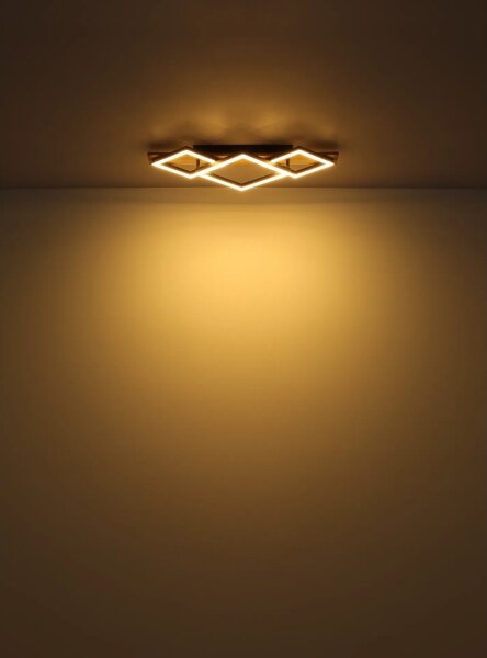 Globo 67330G-24 - Plafoniera LED BEATRIX I LED/24W/230V