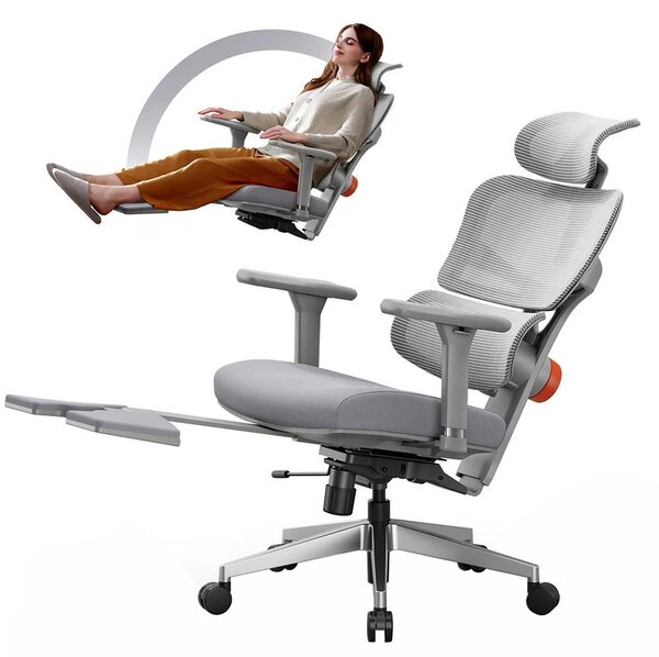 Sedia da ufficio ergonomica - Sedia con poggiapiedi - Supporto lombare regolabile - 4 livelli di inclinazione - Schienale e poggiatesta regolabili - Regolabile in altezza - Grigia