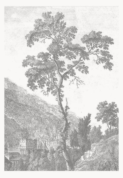 Carta da parati in tessuto non tessuto Engraved Landscapes I