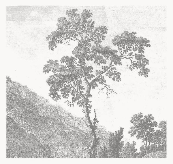 Carta da parati in tessuto non tessuto Engraved Landscapes I
