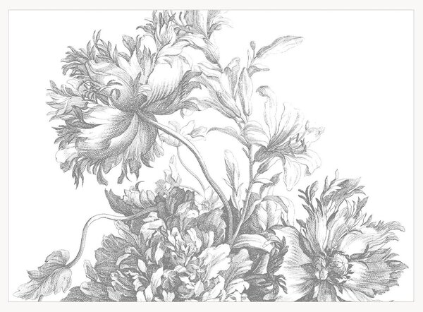 Carta da parati Engraved Flowers