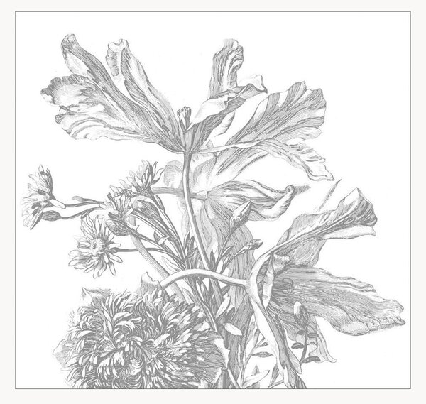 Carta da parati Engraved Flowers
