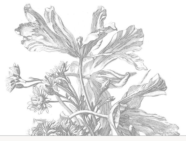 Carta da parati Engraved Flowers
