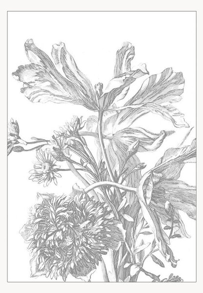 Carta da parati Engraved Flowers