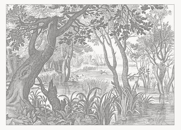 Carta da parati in tessuto non tessuto Engraved Landscapes