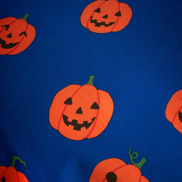 Set copripiumino e federa blu e arancione per letto singolo 135x200 cm Halloween Pumpkins – Catherine Lansfield