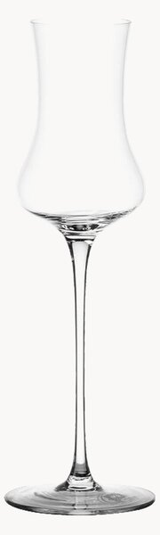 Set di 2 bicchieri da grappa in cristallo Lunasol