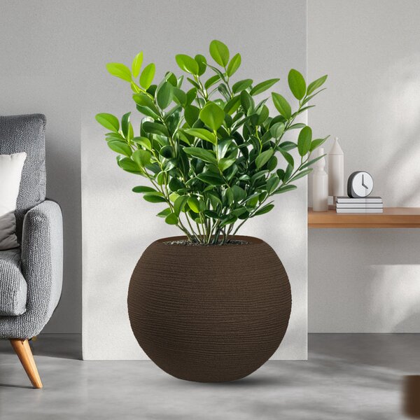 Vaso da Esterno Interno Design a Sfera Ø40x33 cm Botticelli in Resina Marrone