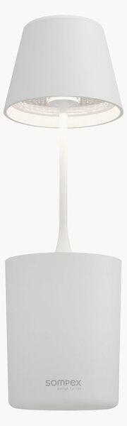 Lampada da tavolo portatile a LED con luce regolabile Peeky