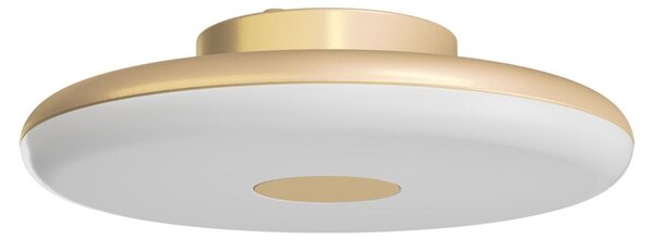 OSMONT ZET60006 ZETA 1 FP Plafona/applique in plastica, Golden Beach / Bianco, grado di protezione IP40, 3000 K, LED da 31 W