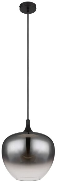Globo 15548H1 - Lampadario a sospensione con filo MAXY 1xE27/60W/230V nero