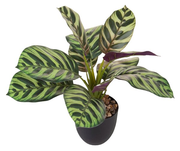 Set 2 Piante Artificiali Maranta 11 Foglie in Vasi 36 cm