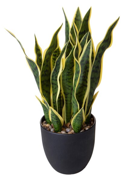 Pianta Artificiale Sanseveria con Vaso 48 cm