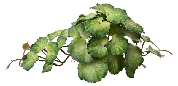 Set 4 Rami Artificiali Heuchera per 36 Foglie 20 cm