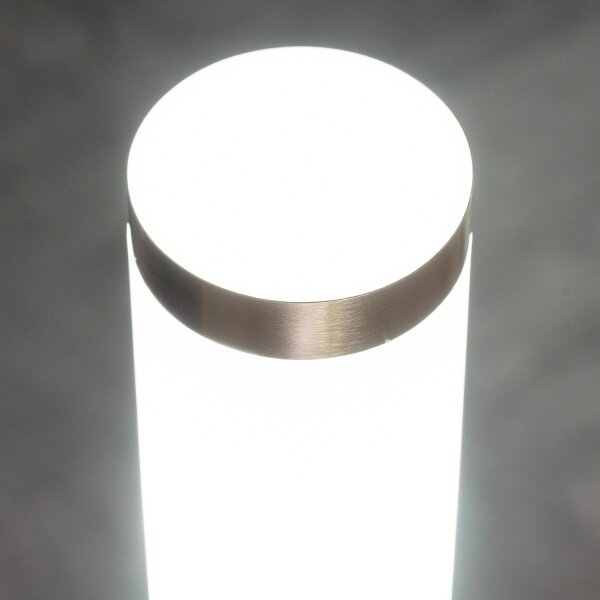 BRILAGI - Lampada LED da esterno ELIA 1xE27/7W/230V 4000K IP44 100 cm cromo