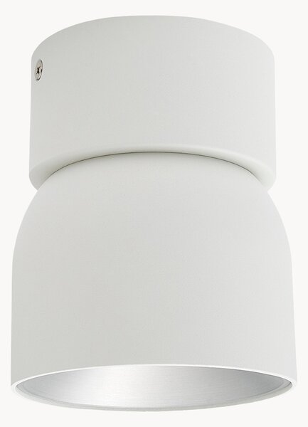 Faretto da soffitto con luce regolabile Pitcher