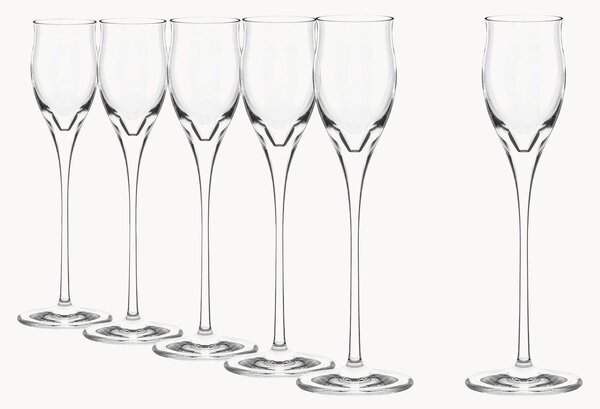 Set di 6 bicchieri per grappa Quatrophil