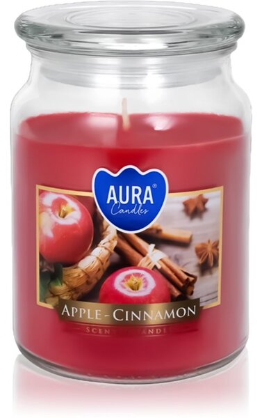 BISPOL Premium Line Apple - Cinnamon candela profumata 500 ml