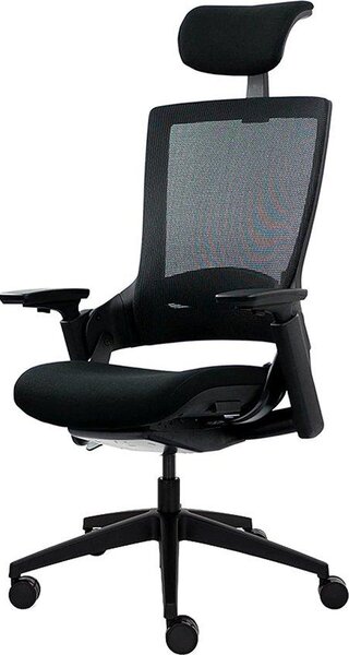 Sedia da ufficio ergonomica Ergotopia® Nextback - Sedia da ufficio ergonomica con supporto lombare e braccioli regolabili - Sedia girevole con supporto per il collo