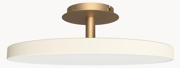 Lampada a LED grande con luce regolabile Asteria, varie misure