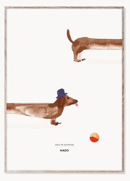 Poster Doug the Dachshund