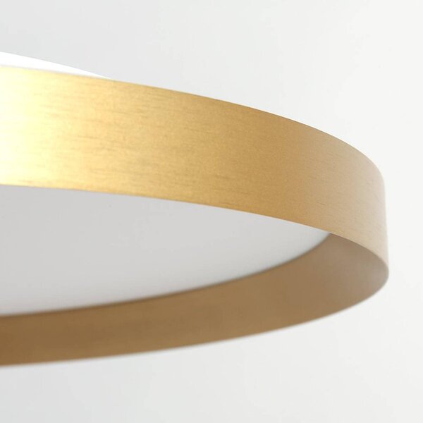 Steinhauer Plafoniera a LED Flady, dimmerabile, Ottone / Oro, Soggiorno / Sala da pranzo, Metallo, Plafoniera LED