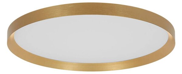 Steinhauer Plafoniera a LED Flady, dimmerabile, Ottone / Oro, Soggiorno / Sala da pranzo, Metallo, Plafoniera LED