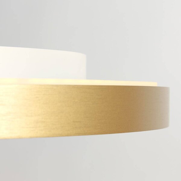 Steinhauer Plafoniera a LED Flady, dimmerabile, Ottone / Oro, Soggiorno / Sala da pranzo, Metallo, Plafoniera LED