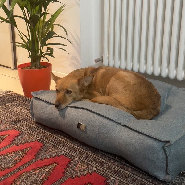 Dog Bed Elegance Salvia / M