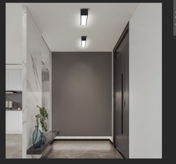 Immax NEO 07254L - Luce LED dimmerabile LUNGO 20W/230V Wi-Fi Tuya nero + +TC